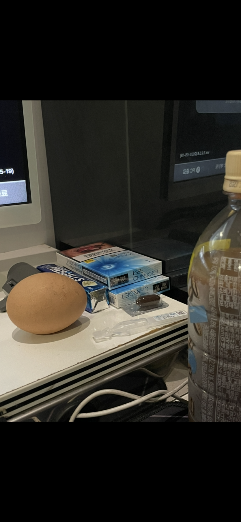 댓노 필수품  정착  ㅅㅅ(0)