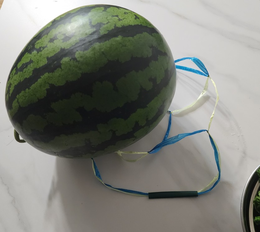 수박에서 오이맛이 ㄷㄷㄷ(0)