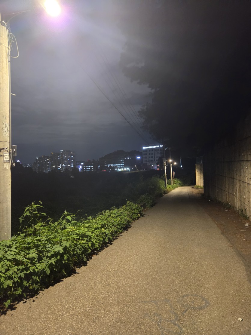 서울한복판에 개무서운곳 발견ㄷㄷ(3)