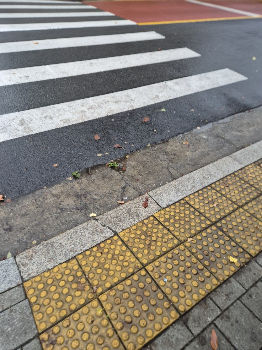 비내리네요(0)