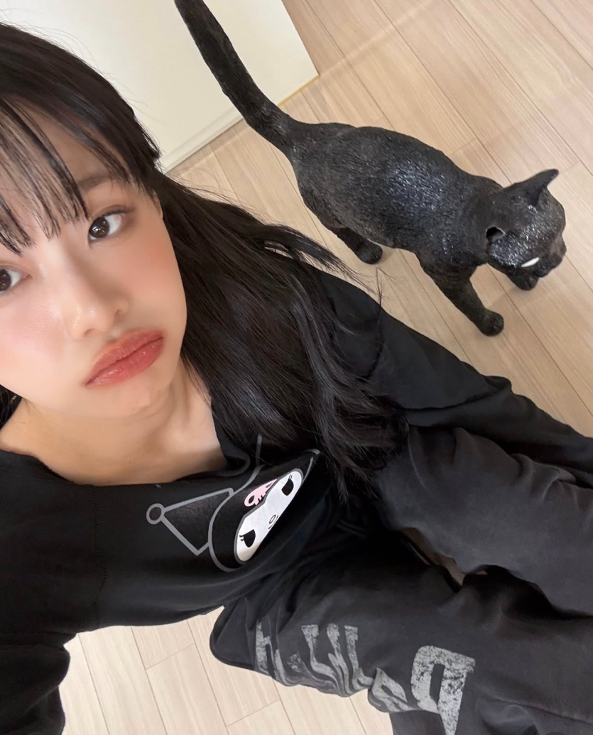 고양이 키우고 싶네요(0)