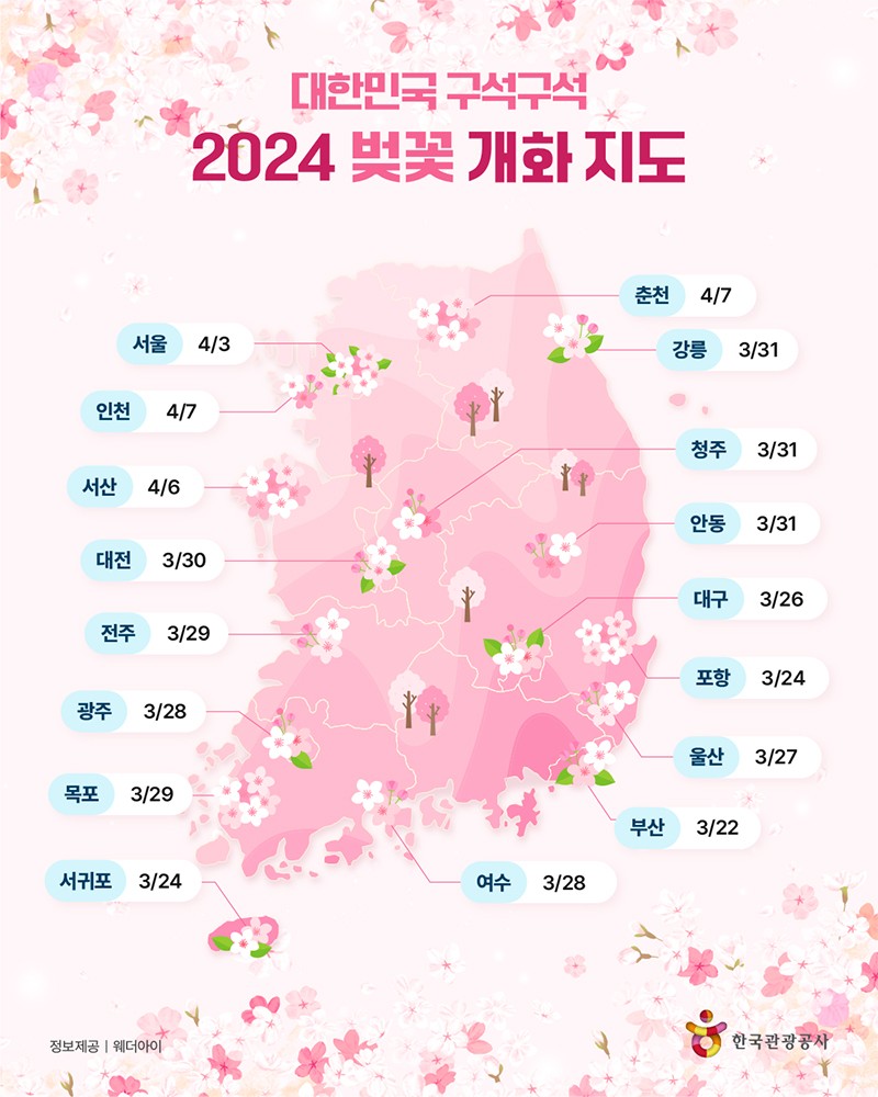 2024 벚꽃 개화 지도(0)