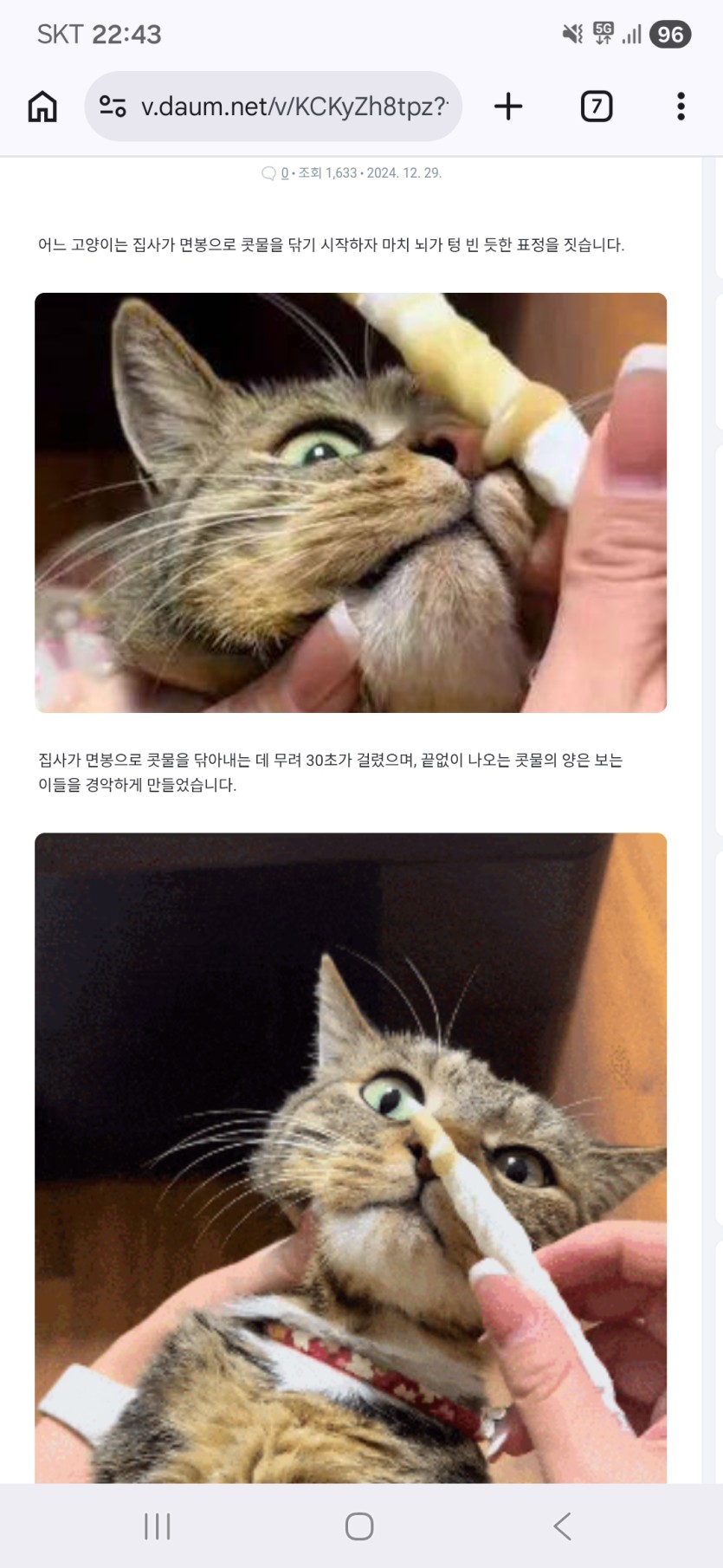 고양이 집사님들(0)