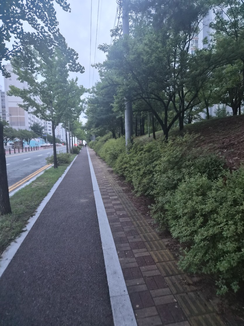 코스(0)