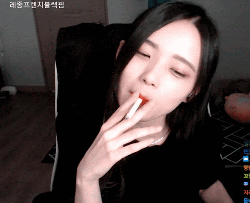 시쿠쓰(0)