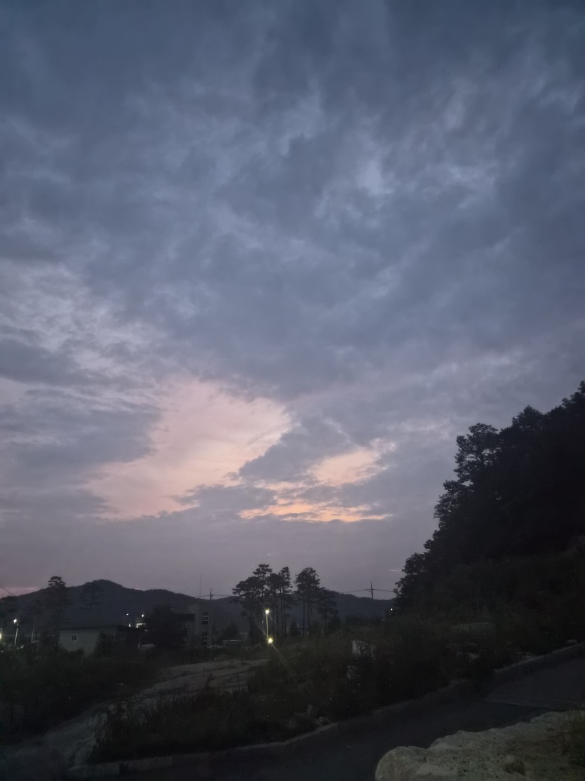 덥긴오지네(0)