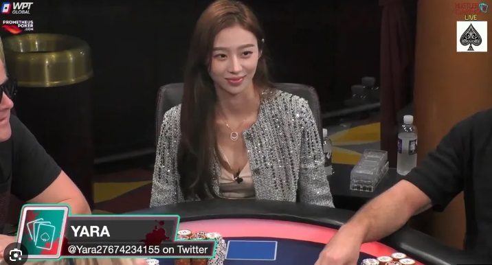 포커꾼 yara 이 요망한 fox련(0)