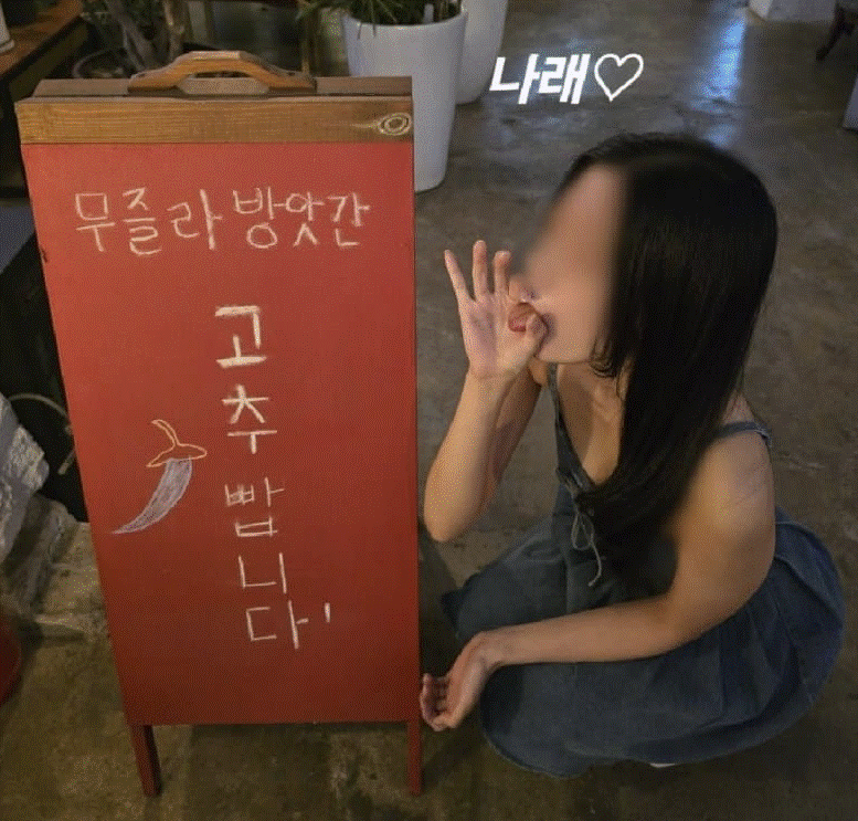 담배한대(0)