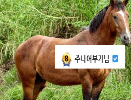 그.. 저는 사실 말인데요(0)