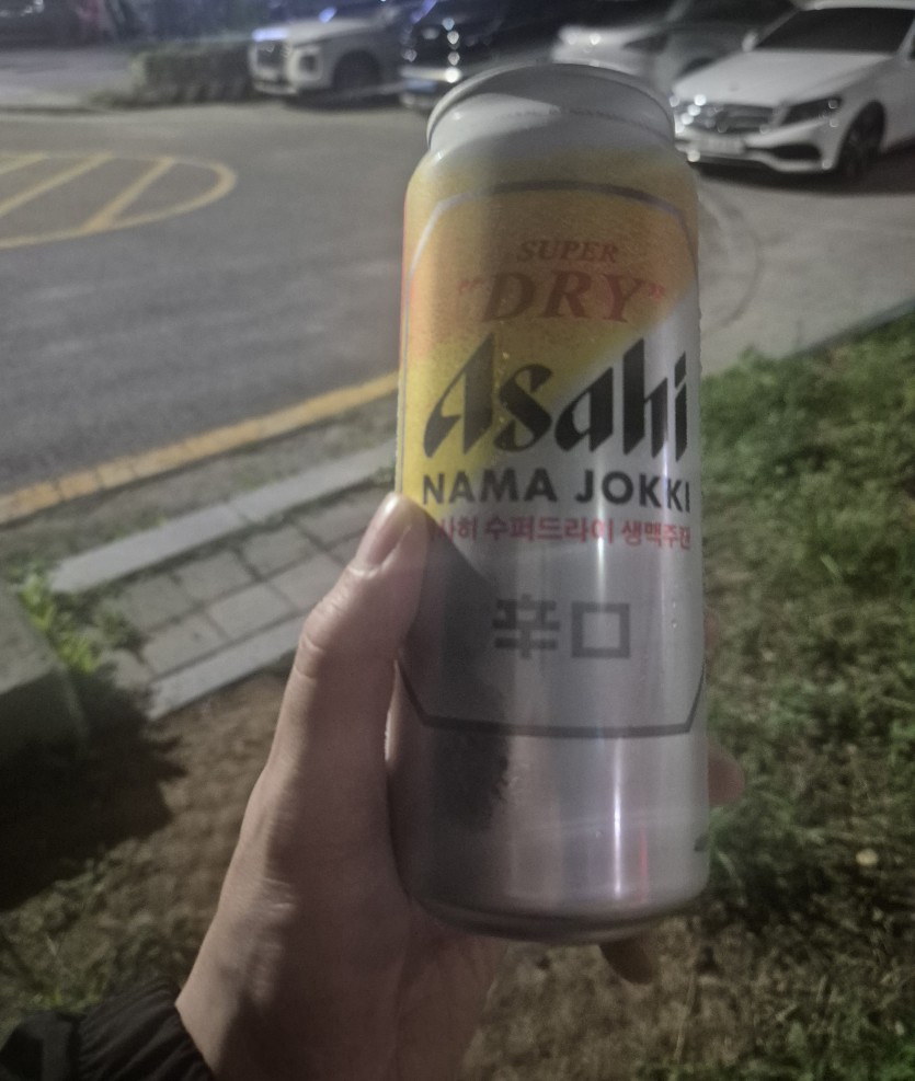 대한민국 만세(0)