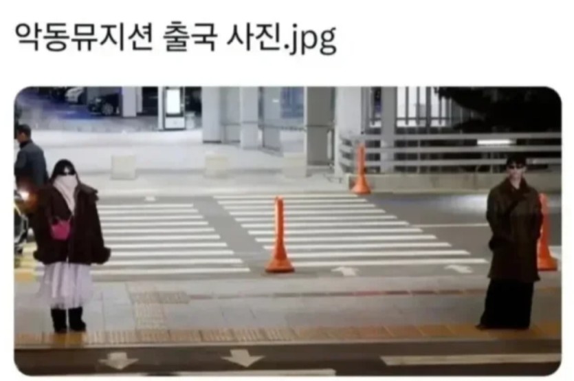 찐남매(0)