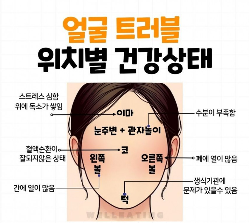 얼굴 트러블 위치별 건강상태(0)