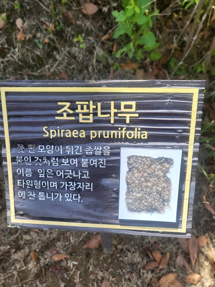월드컵보고 느낀점~~(0)