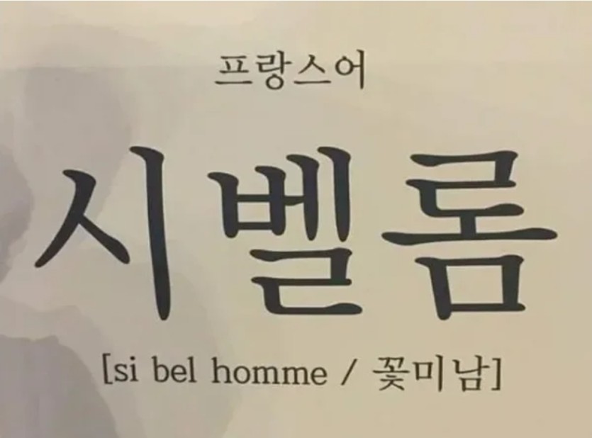 시벨롬(0)