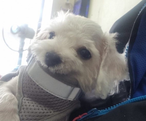 아 네이버 메일 확인중에 ㄷㄷㄷㄷ(0)