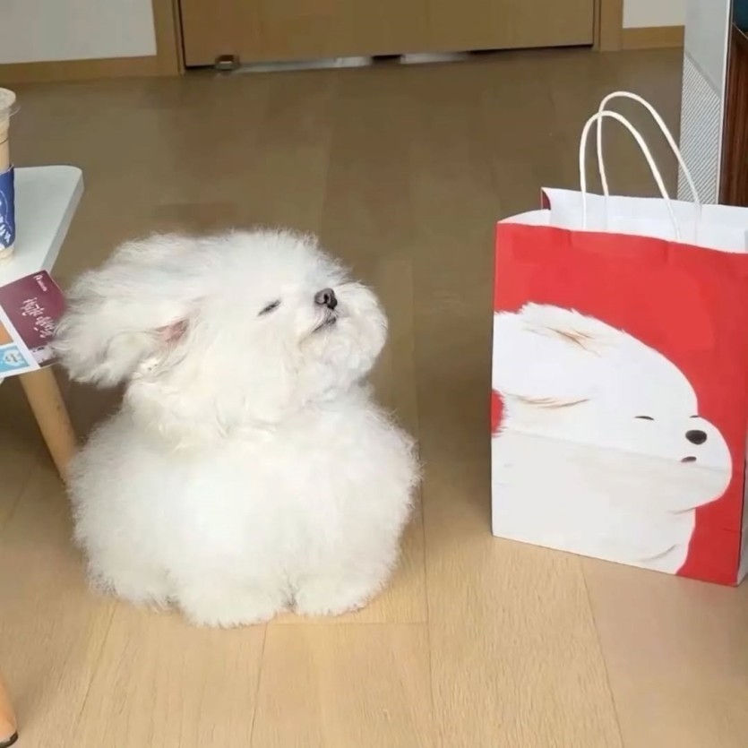 콜슬이 한잔 합니다(0)