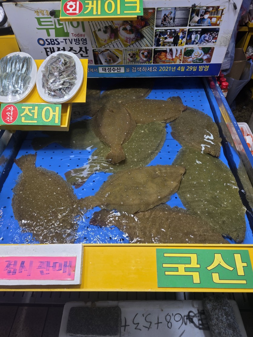 광어가 8마넌이요(0)
