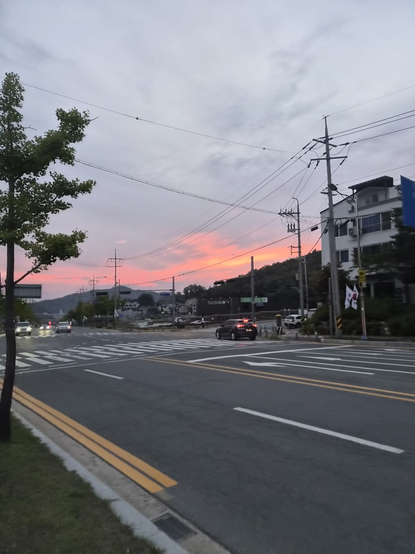 이른산책을(0)