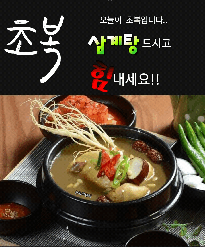 오늘초복(0)