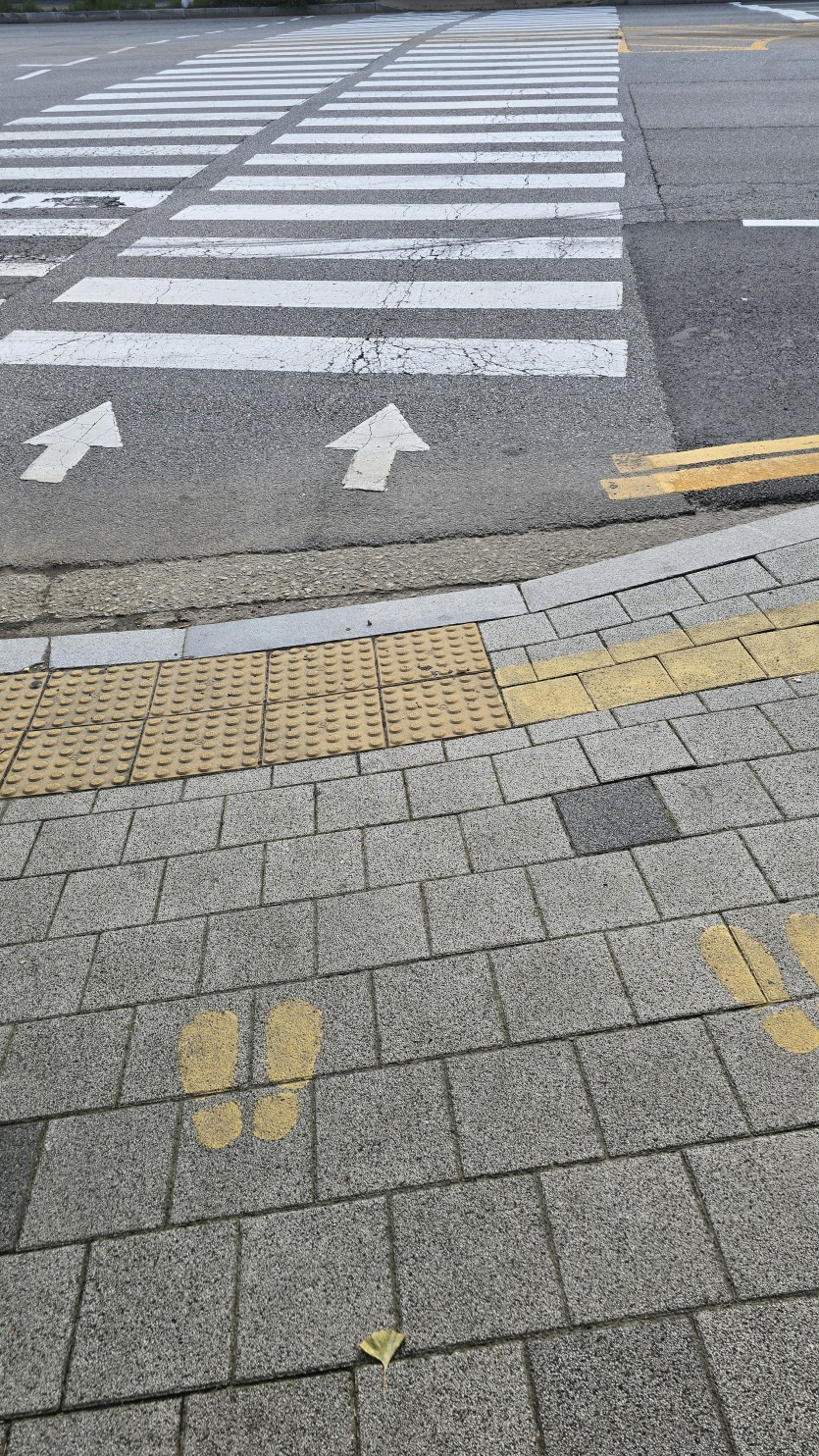 건너갑니다(0)