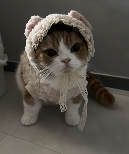 이월1등은 앞자리가 몬가요??(0)