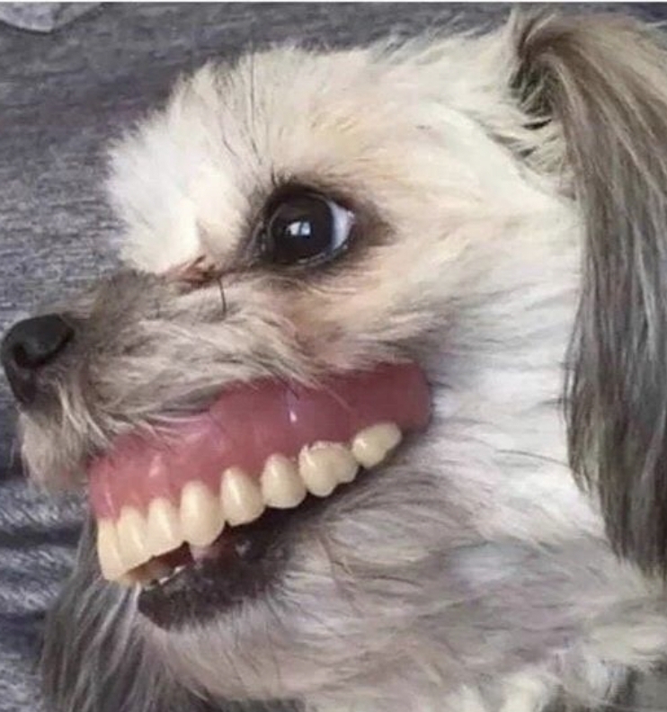 진짜포바할라면(0)