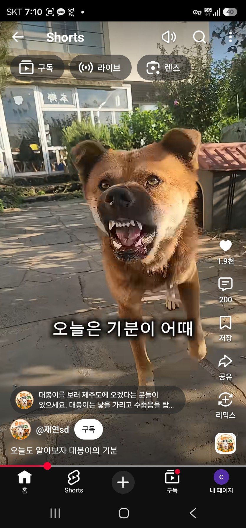 크보이벤 롤링 25배 ㄷㄷ(0)