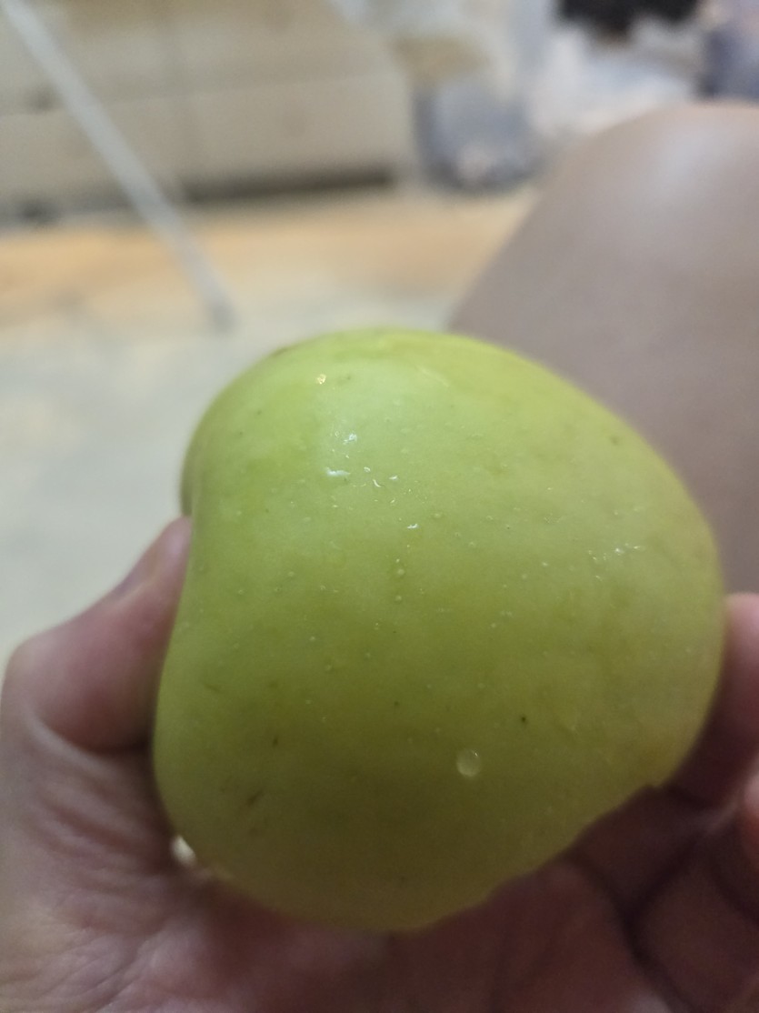 아오리사과 먹습니다(0)