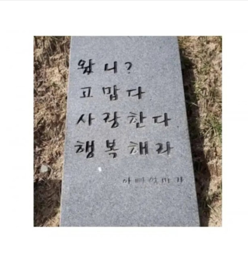 성묘 다녀오셨나요?(0)