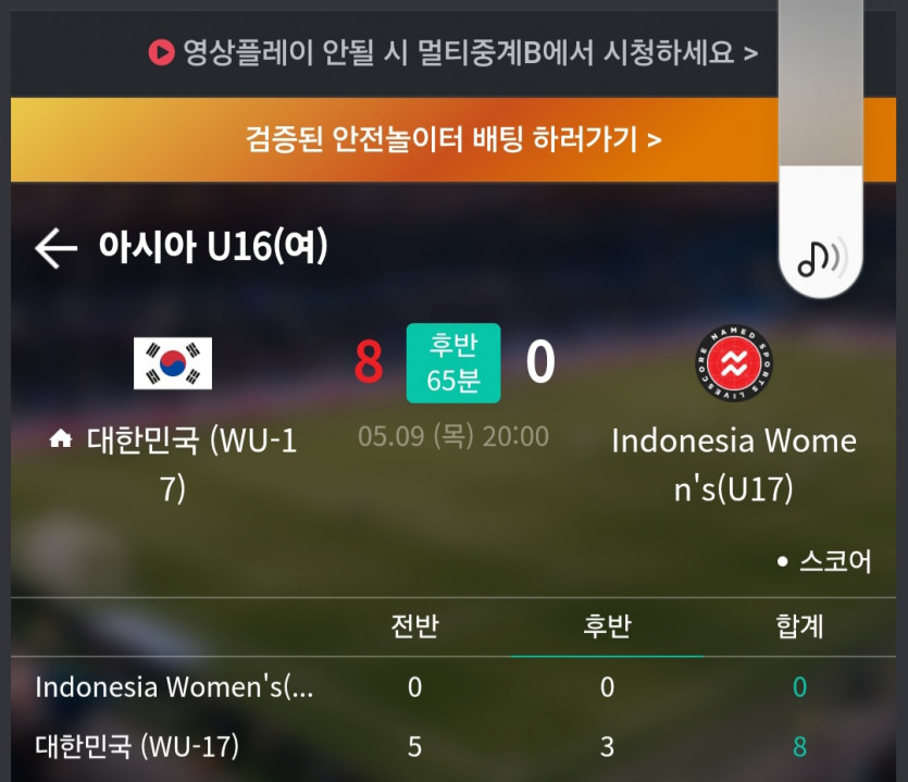 한국 여자 축구 ㅎ(0)
