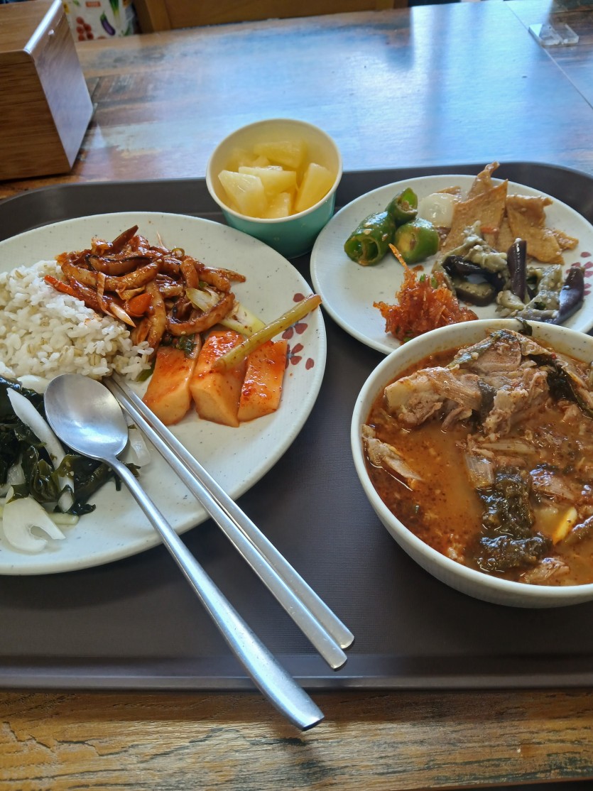 점심 했으니 한숨 자고 올게요(0)