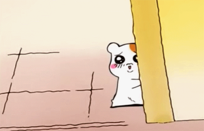 3돌이는 없군요 호호(0)