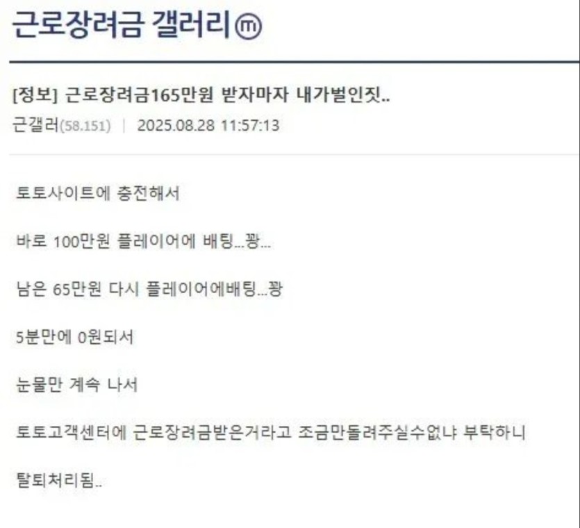 근로장려금(0)