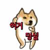 벌써 11시 실환가요(0)