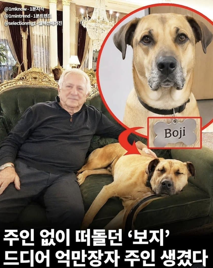 그 혹시 이런글을 써도 될까요(0)