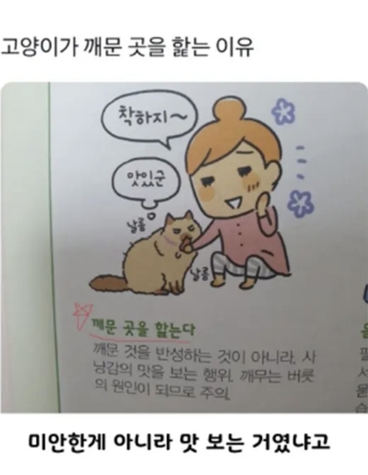 고냥이가(0)