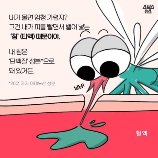 모기색 사지절단 기원(0)