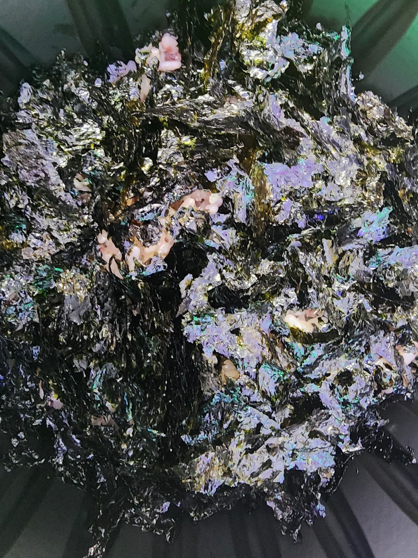오늘의 야식은..?(1)