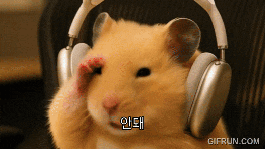 핫식스 제로만 마시다가 사치좀 부려서(0)
