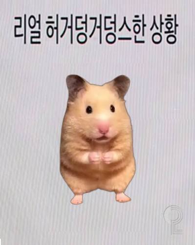 오늘은 들쥐 시청가겠습니다(0)