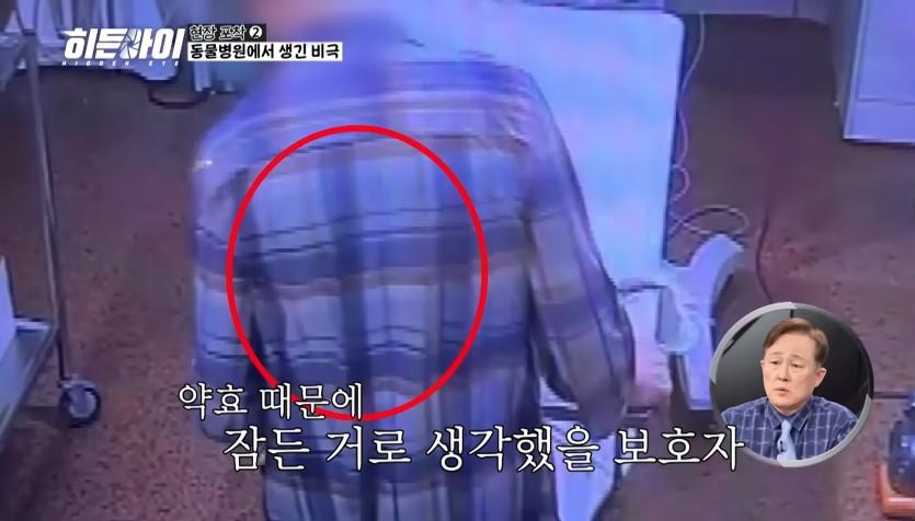 염증주사 대신 안락사주사 투여한 수의사(2)