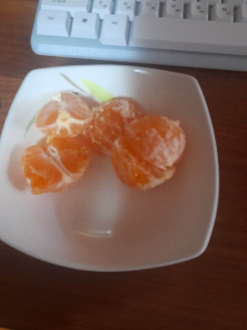 오막귤.!!(0)
