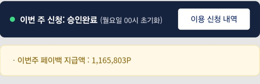 페이백 오지게 받았네요(0)
