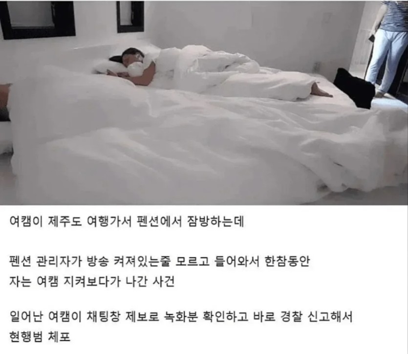 여캠 레전드(0)