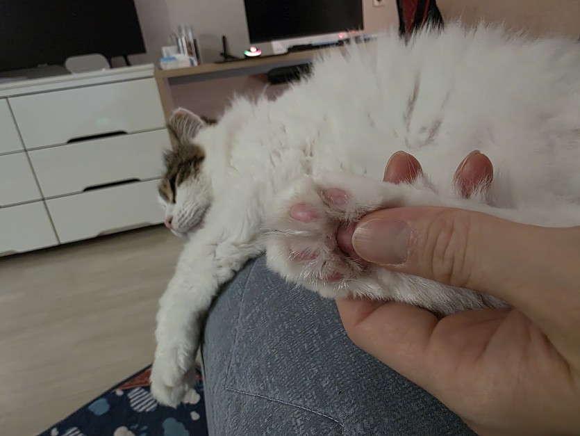 이거 쪼물딱 거리는 쾌감이(0)