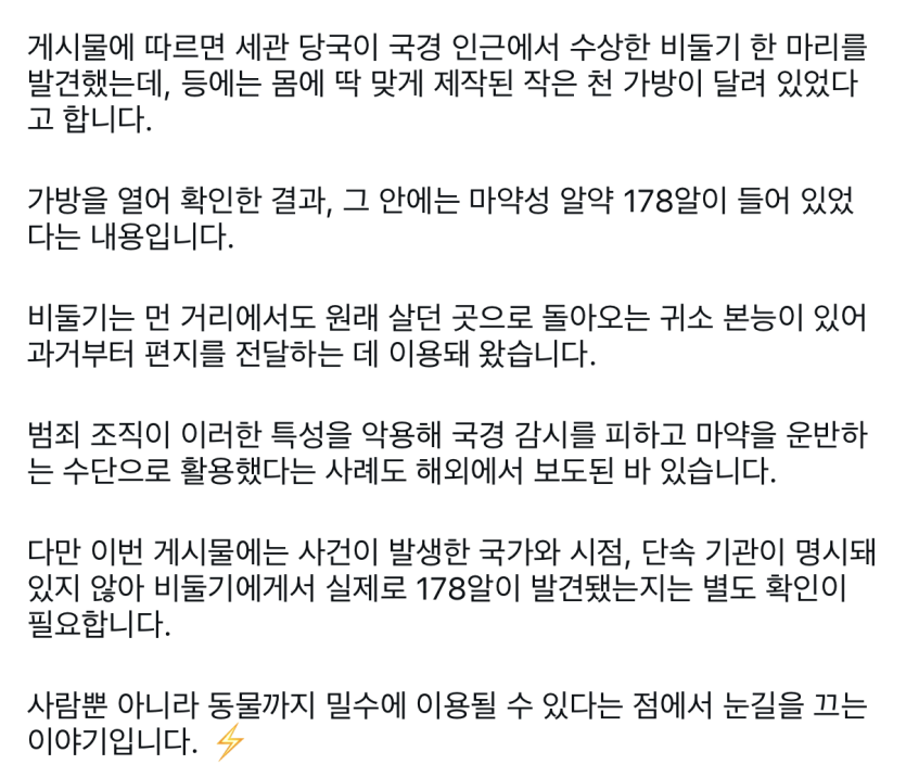 한국에 비둘기가 많은이유(1)