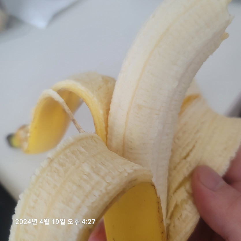 바나나 갑니다 !!!!(0)