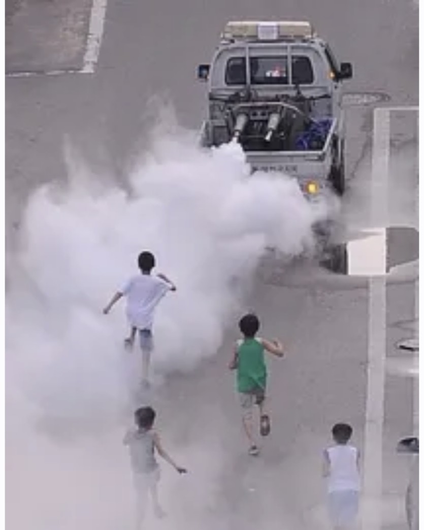댓노 방구차 출발합니다(0)