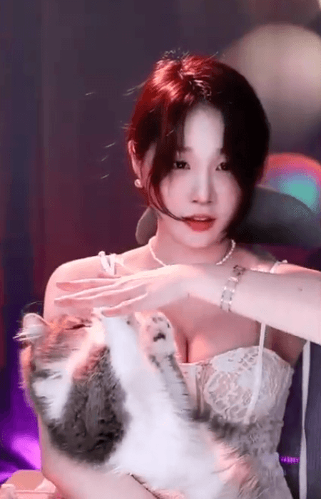 즐퇴해여(0)