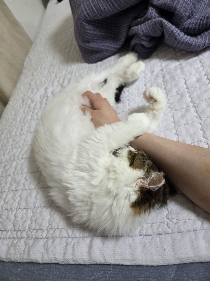 저희 ㄱㅇㅇ도(0)